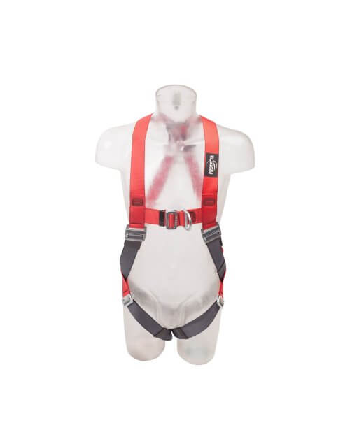 2 point Harness, available in sizes  S to XL