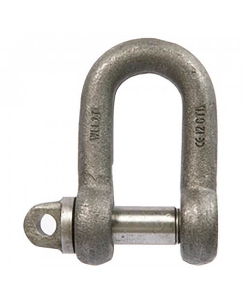Large Dee Shackle - Self Colour