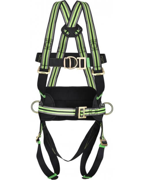 FA 10 205 00 HARNESS 2 POINT & WORK BELT